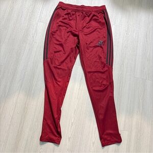Adidas Men's Burgundy Joggers with Black Stripes